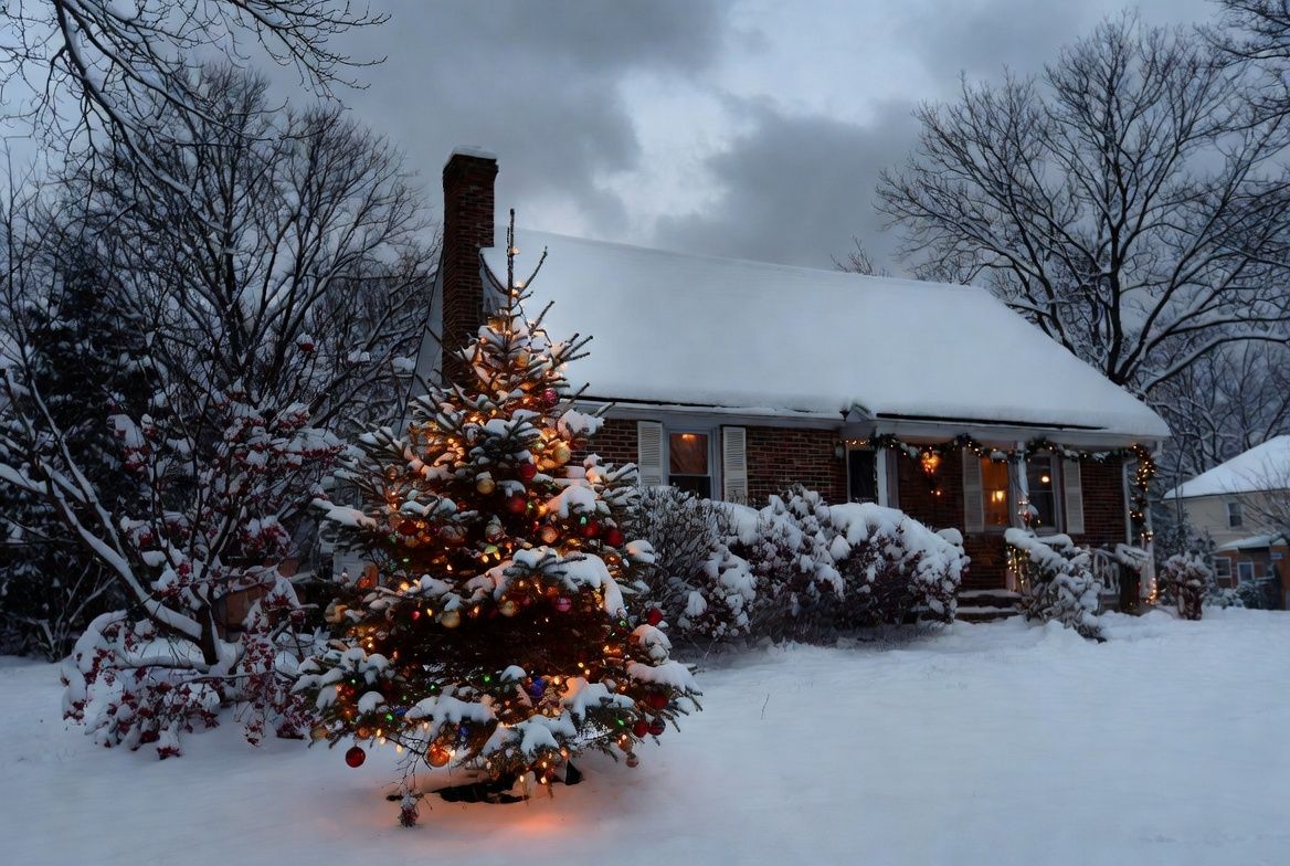 Snowy house with Christmas tree